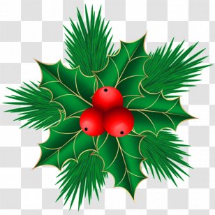Mistletoe Phoradendron Tomentosum Christmas Clip Art - Plant Transparent PNG