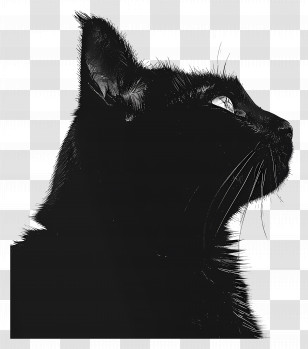 Cat Silhouette - Black Cat Profile Silhouette Illustration Transparent PNG