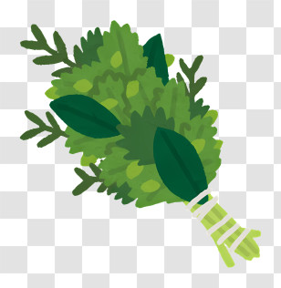 Vegetable - Fresh Green Herb Bunch Illustration Transparent PNG