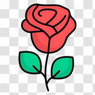 Rose Flower - Red Rose Illustration With Green Leaves Transparent PNG