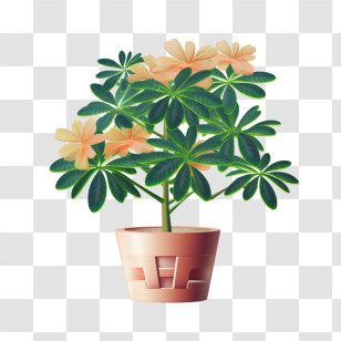Schefflera Plant - Lovely Potted Plant With Flowers Transparent PNG