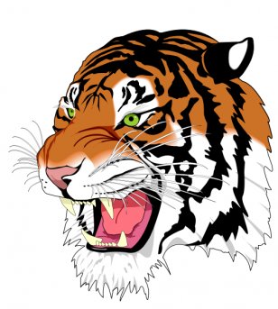 Tiger Rendering Clip Art - Cat Like Mammal - Inkscape Images Transparent PNG