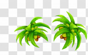 Coconut Water Milk Leaf - Organism - NoiX De Coco Transparent PNG
