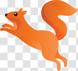 Orange Transparent PNG