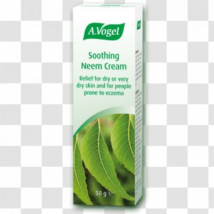 Neem Tree Skin Care Cream Tincture Oil - Herbal - Leaf Transparent PNG