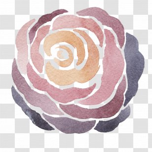 Flower Pink Purple Watercolor Painting Clip Art Transparent PNG