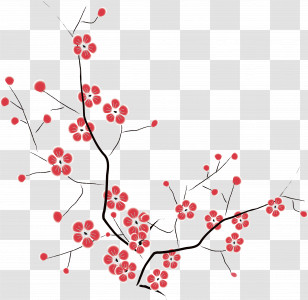 Flowers Floral Transparent PNG