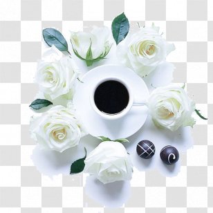 Ipoh White Coffee Cafe Beach Rose - Dishware - Roses And Transparent PNG