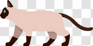 Cartoon Cat - Siamese Cat Cartoon Illustration In Profile Transparent PNG