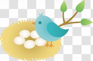 Bird Nest Clip Art - Cartoon - Graphic Transparent PNG