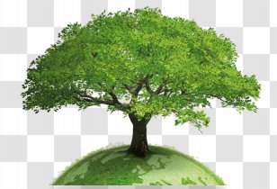 Earth World Tree Globe Global Warming - Climate Change Transparent PNG