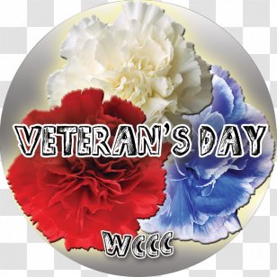 Carnation Cut Flowers Peony Art Transparent PNG