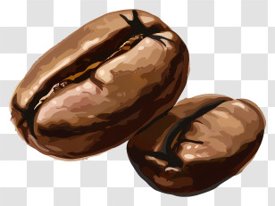Coffee Beans - Realistic Coffee Beans Illustration Transparent PNG
