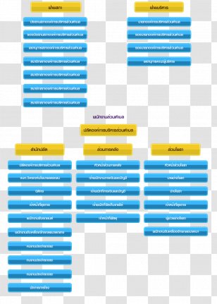 Health Care Wat Tha Rong Chang Economics Policy Hospital - Text Transparent PNG