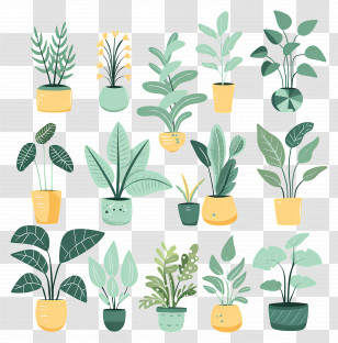 Flowers In Pots - Stylish Collection Of Indoor Potted Plants Transparent PNG