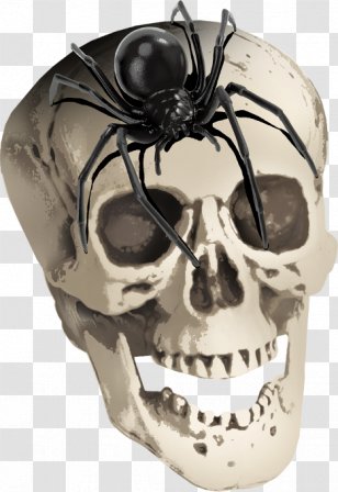 Spider Skull Skeleton ForgetMeNot - Halloween - Horror And Transparent PNG