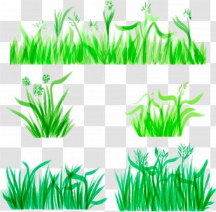 Watercolor Painting Download - Plant - Pen Grass Decoration Borders Transparent PNG