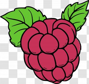 Coloring Book Drawing Red Raspberry Fruit - Petal - Les Bleuets Dans Champs Transparent PNG