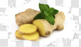 Ginger Rhizome Tuber Herbaceous Plant Turmeric Transparent PNG