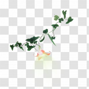 Flower - Silhouette - Trumpet Vine Transparent PNG