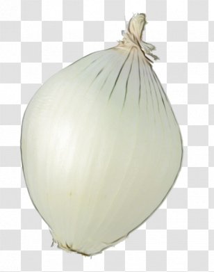 Elephant Background - Plant - Amaryllis Family Garlic Transparent PNG