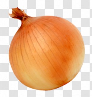 Yellow Onion Red Sweet - Shallot - Plant Transparent PNG