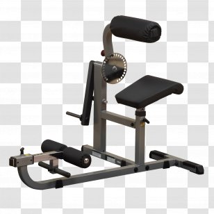 Human Body Muscle Fitness Centre Back Exercise - Flexibility Transparent PNG
