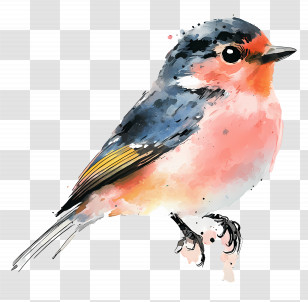 Watercolor Bird - Watercolor Robin With Ornamental Colors Transparent PNG