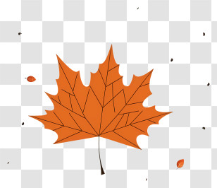 Maple Leaf - Orange Maple Leaf In Autumn Style Transparent PNG