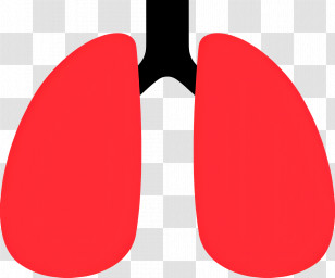 Lung - Red Human Lungs Illustration Transparent PNG