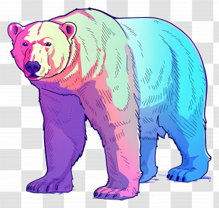 Polar Bear - Illustrated Colorful Polar Bear In Creative Style Transparent PNG