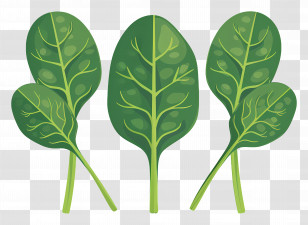 Spinach Leaves - Green Spinach Leaves Transparent PNG