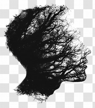 Man Head Silhouette - Nature Tree Silhouette Transparent PNG