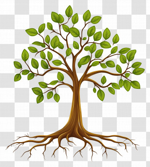 Tree With Roots - Tree With Roots Illustration Transparent PNG