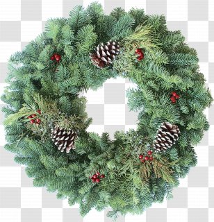 Christmas Decoration - Shortleaf Black Spruce - Conifer Plant Transparent PNG