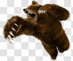 Tekken 6 5: Dark Resurrection Tag Tournament 2 - Jin Kazama - Bear Transparent PNG