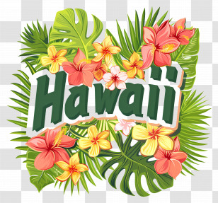 Hawaii - Hawaii Tropical Flowers And Leaves Illustration Transparent PNG