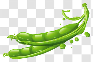 Peas - Fresh Green Pea Pod Illustration Transparent PNG