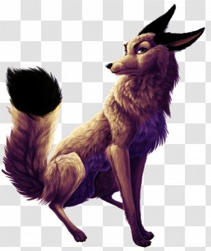 Canidae Dog Fur Mammal - Frame Transparent PNG
