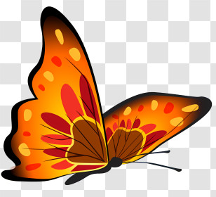 Mariposas - Illustration Of Orange Butterfly Transparent PNG