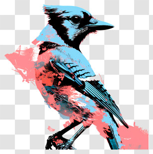 Blue Jay - Colorful Artistic Bluebird Illustration Transparent PNG