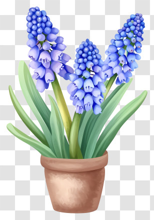 Potted Plant - Beautiful Potted Plant With Purple Flowers Transparent PNG