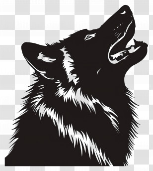 Wolf Silhouette - Howling Wolf Black Silhouette Illustration Transparent PNG