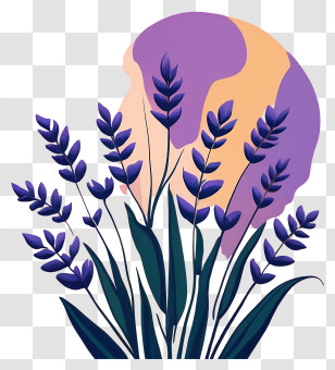 Lavender Fields - Purple Flowers With Abstract Background Transparent PNG