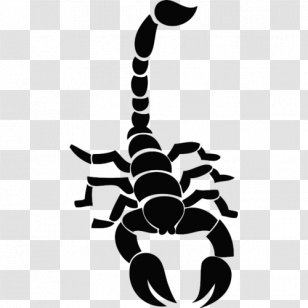Scorpion Tattoos Png Transparent Images  Arm Scorpion Tattoo Png  Transparent PNG  344x600  Free Download on NicePNG