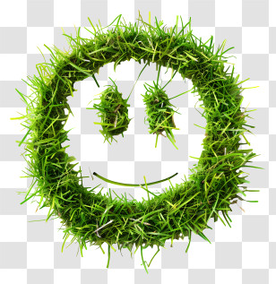 Smiley Face - Green Smiling Face Made Of Grass Transparent PNG