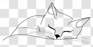 Cat Minimalist - Sleeping Cat Line Art Illustration Transparent PNG