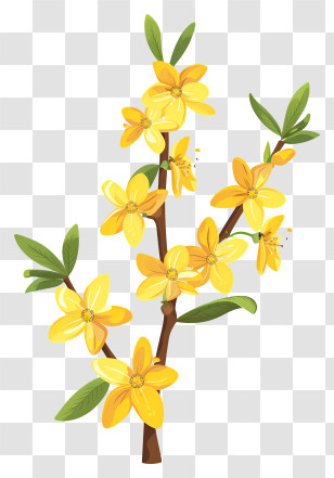 Forsythia Flower - Yellow Floral Branch Illustration Transparent PNG