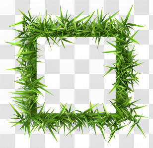 Grass Frame - Decorative Green Grass Frame Illustration Transparent PNG