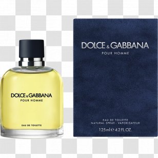 Light Blue Perfume Carita Progressif Anti-Rides Supreme Wrinkle Solution Eye Contour PRO3W Dolce & Gabbana Eau De Toilette - Stefano Transparent PNG